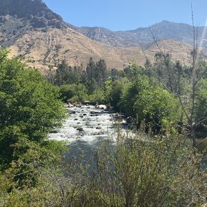 Meet your Posher, Audrey